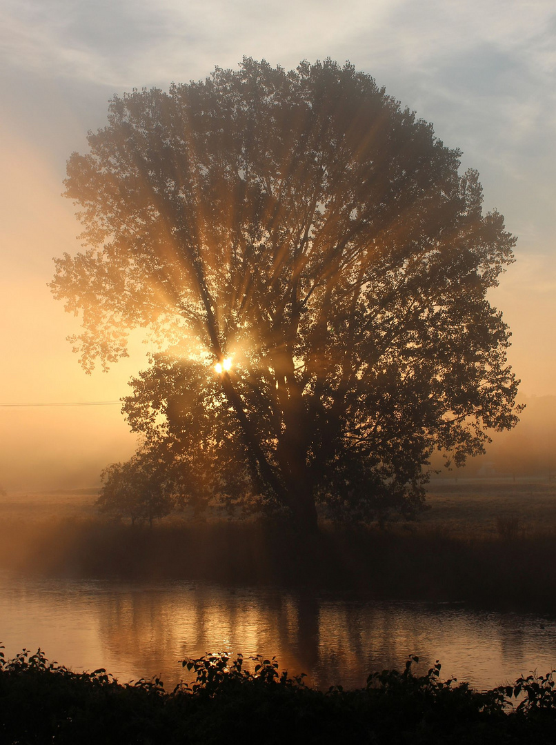 Sonnenaufgang im Tal der Mulde