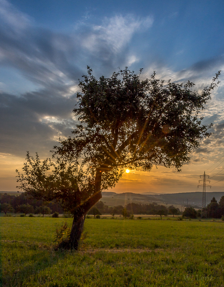 Sonnenaufgang im Taunus