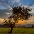 Sonnenaufgang im Taunus