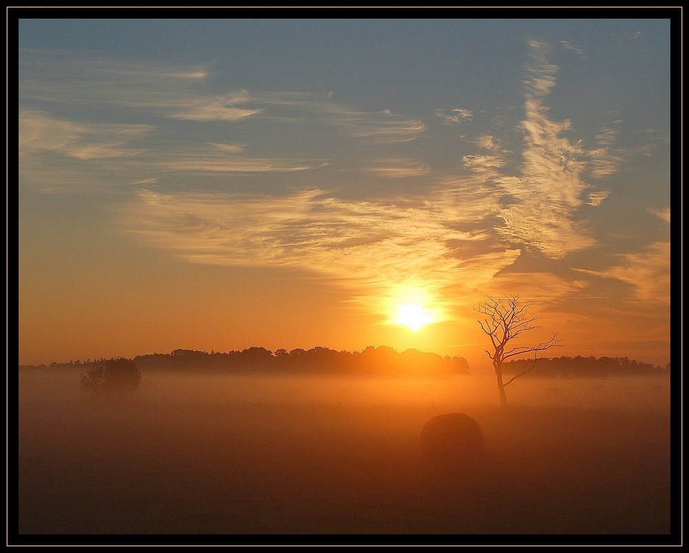 Sonnenaufgang im Teufelsmoor