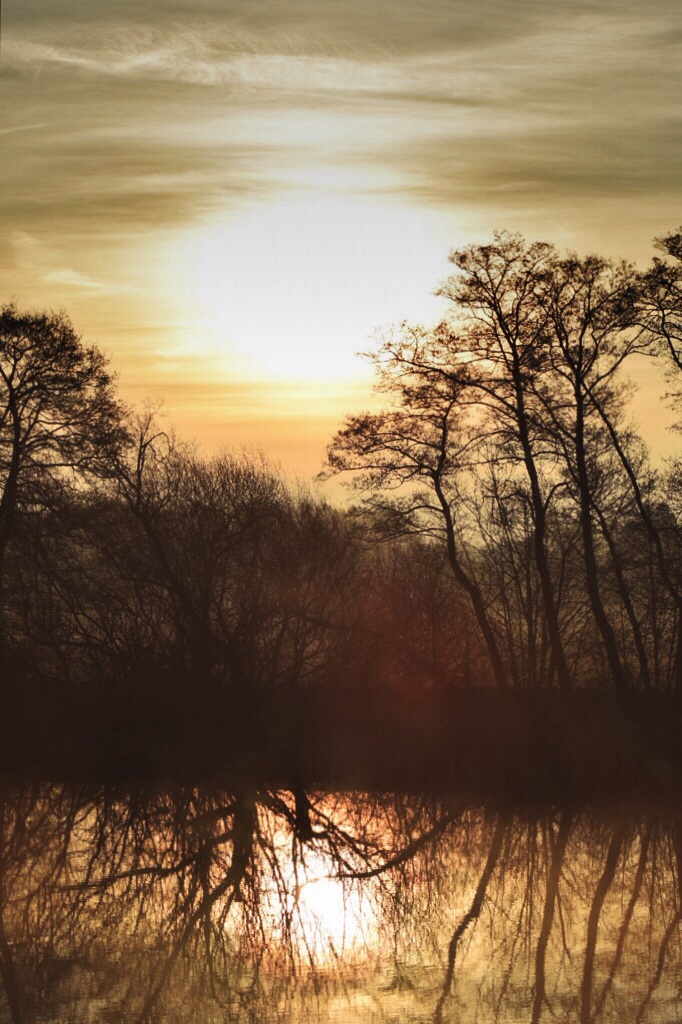 Sonnenaufgang im Teufelsmoor II