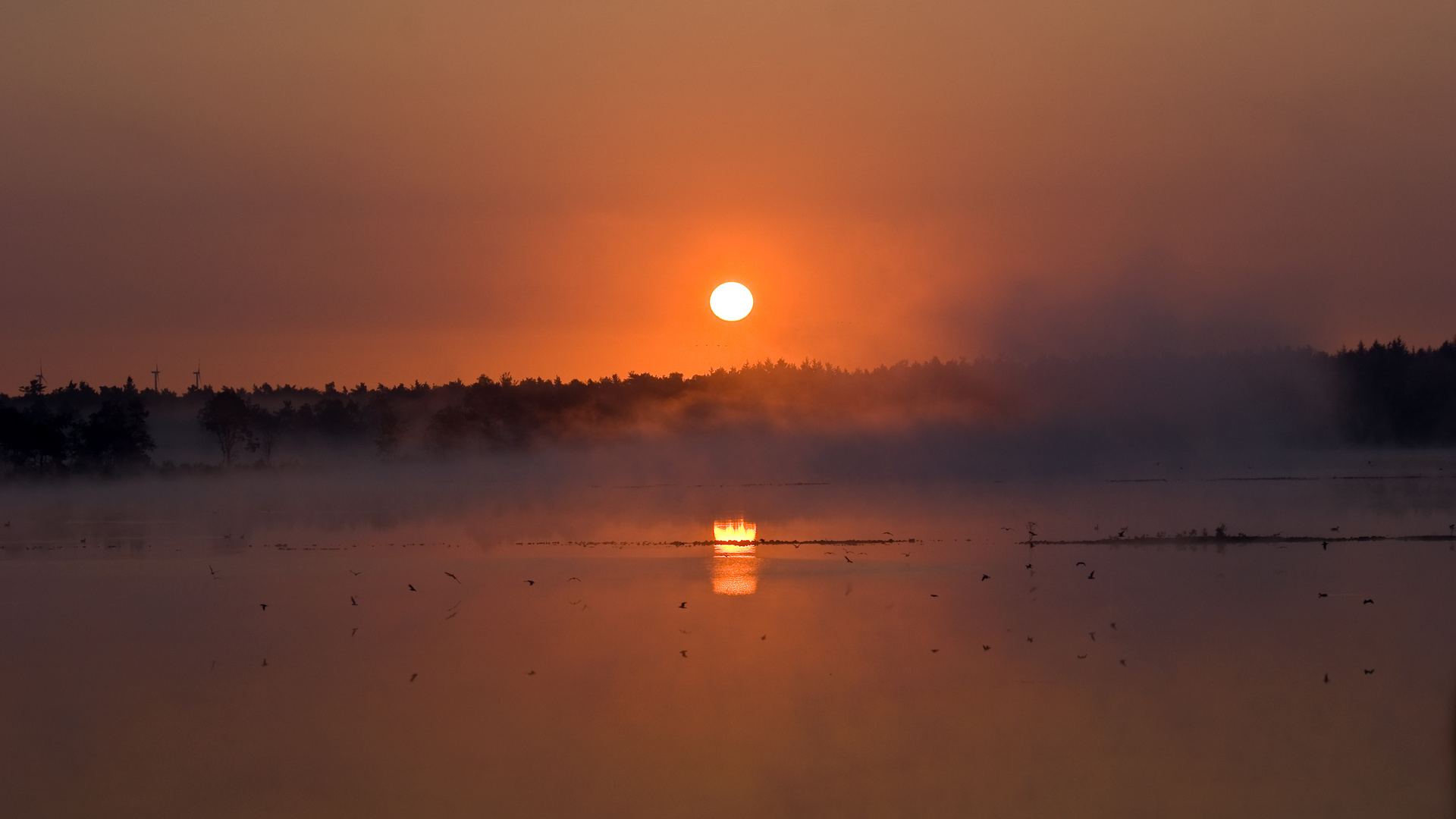 Sonnenaufgang im Tister Bauernmoor