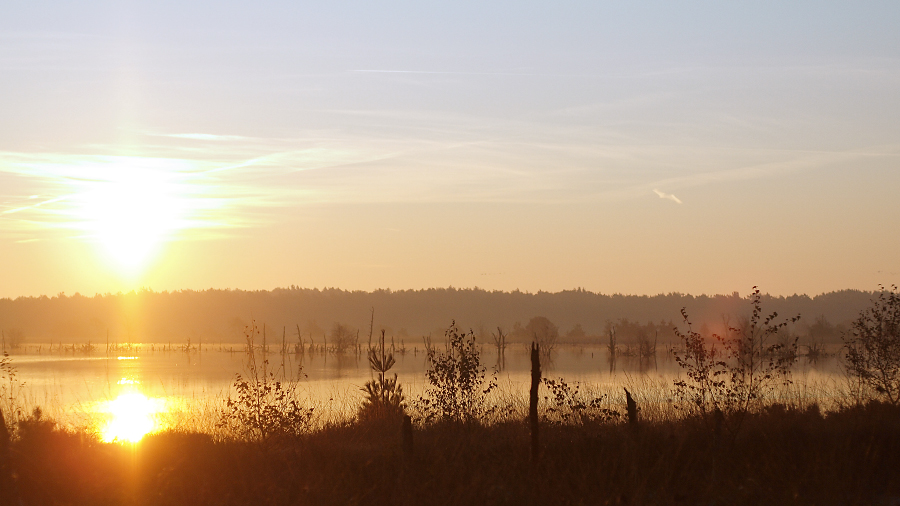 Sonnenaufgang im Tister Bauernmoor