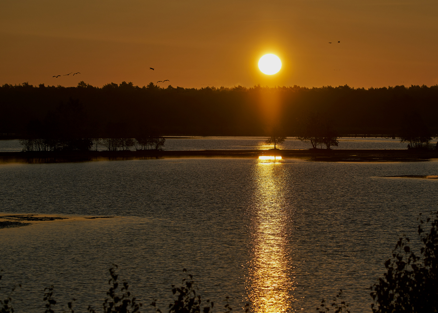 Sonnenaufgang im Tister Moor