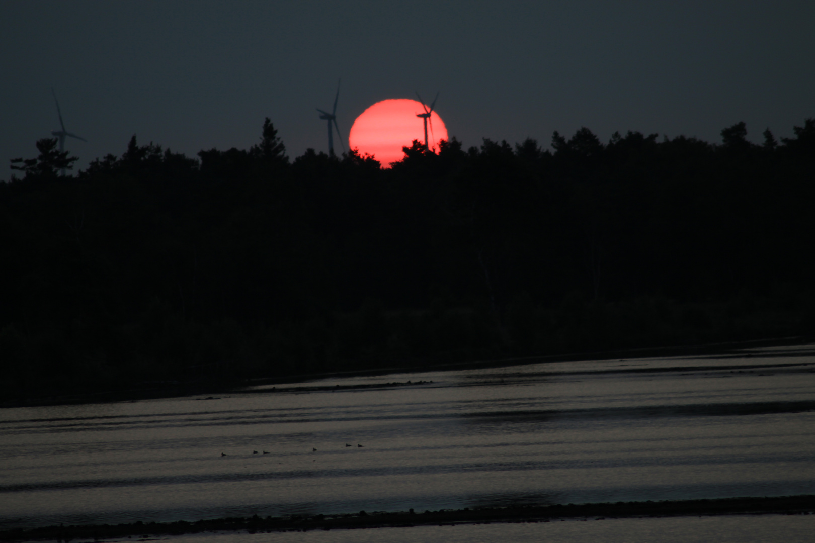 Sonnenaufgang im Tistermoor am 31.7.2010 1