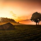 Sonnenaufgang im Tölzer Land