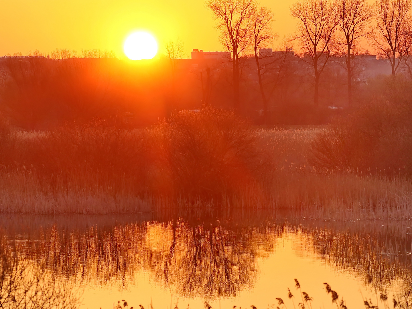 Sonnenaufgang im Tollensetahl