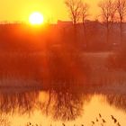 Sonnenaufgang im Tollensetahl