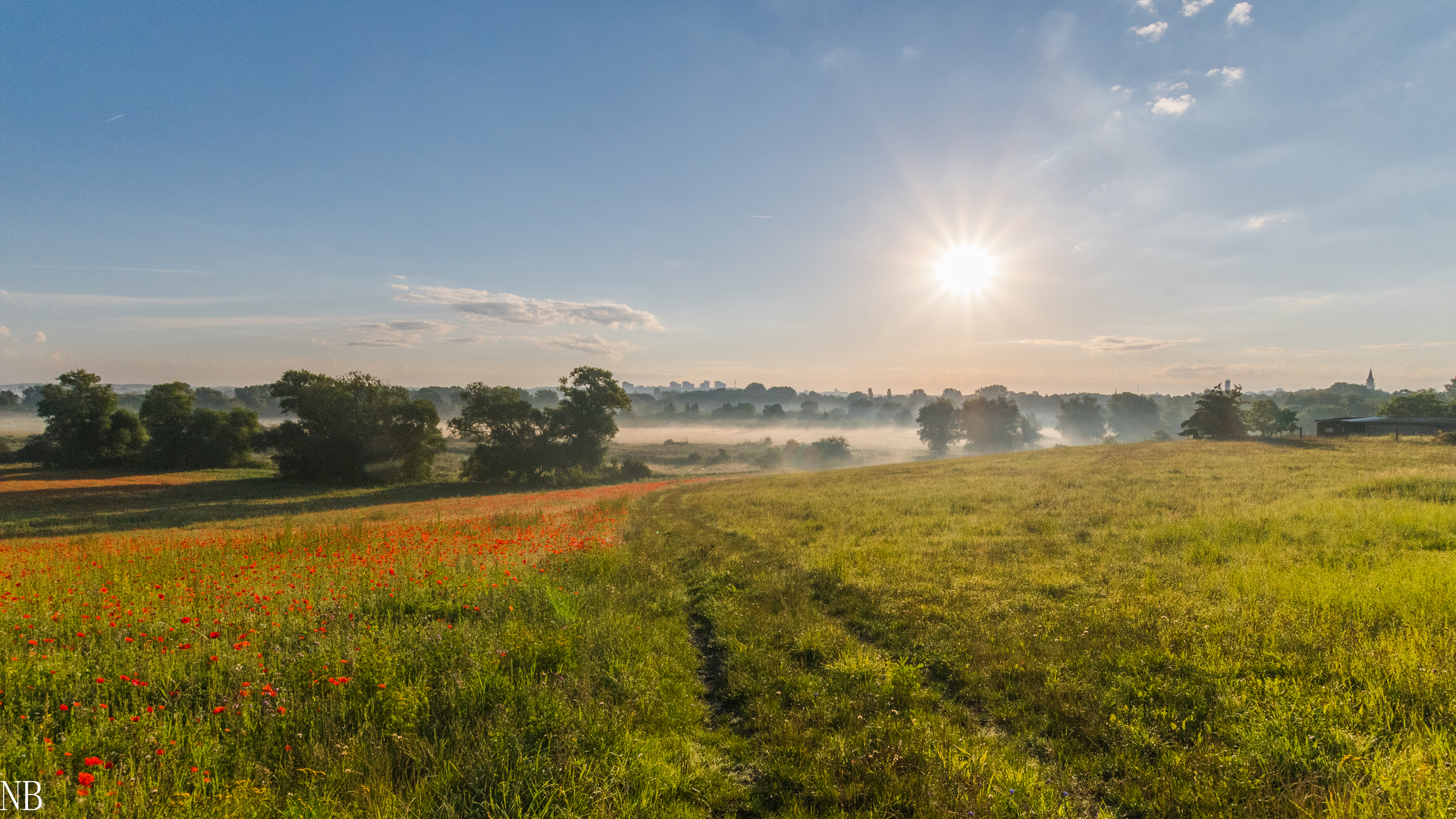 "Sonnenaufgang im Tollensetal 2023"