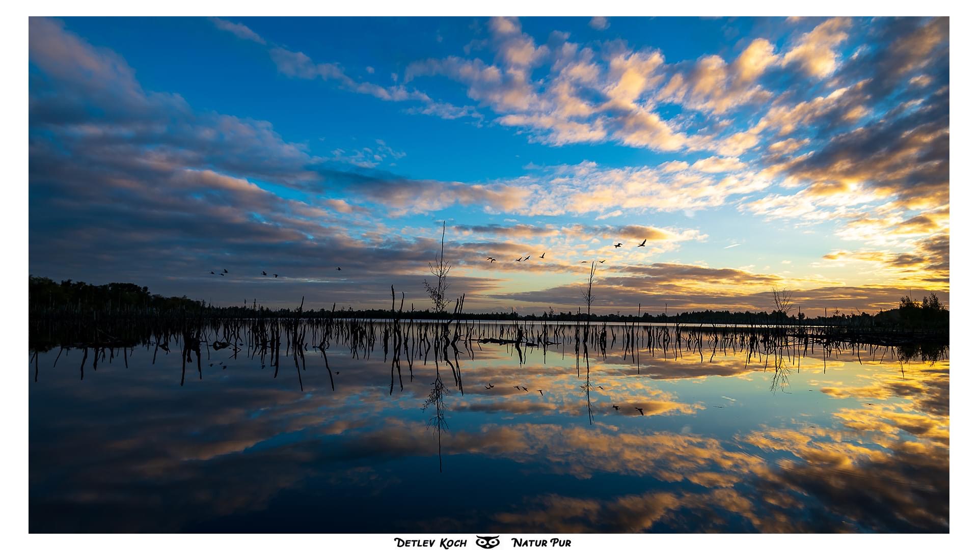 Sonnenaufgang im Torfmoor