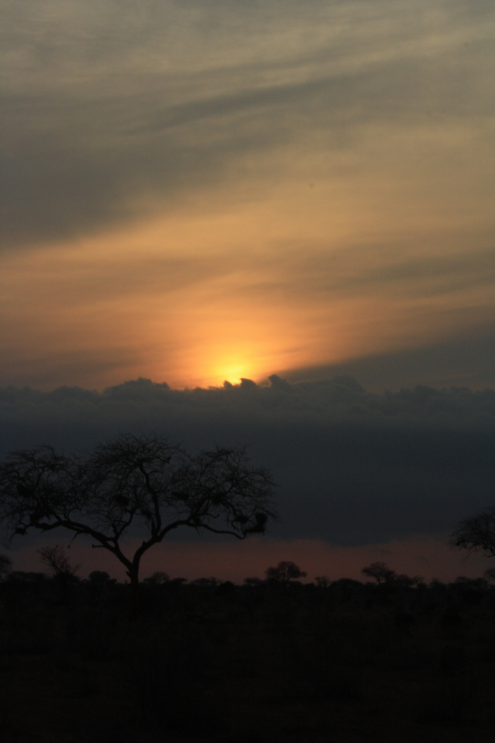 Sonnenaufgang im Tsavo East