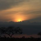 Sonnenaufgang im Tsavo East