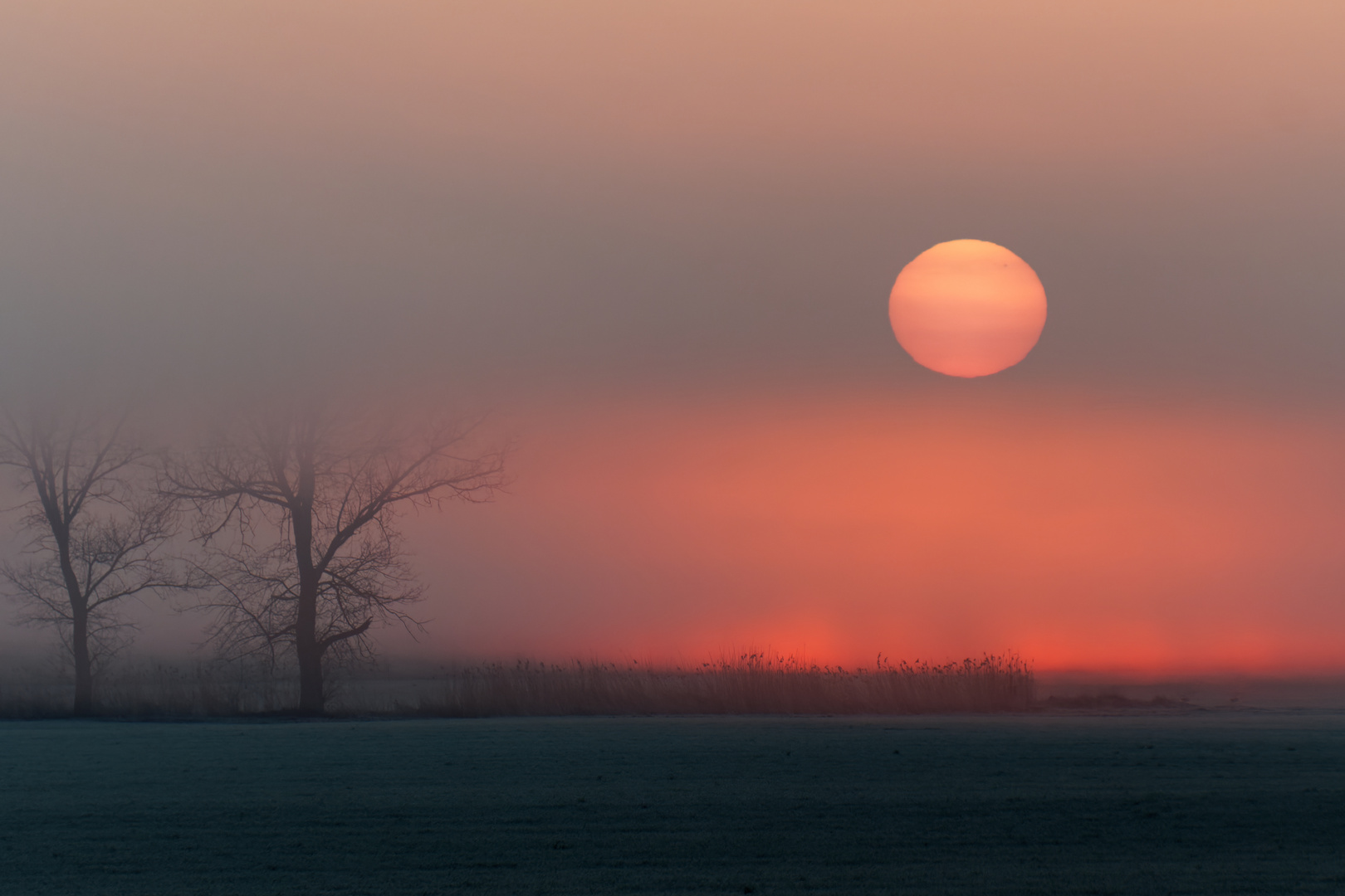 Sonnenaufgang im Unstruttal