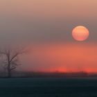 Sonnenaufgang im Unstruttal