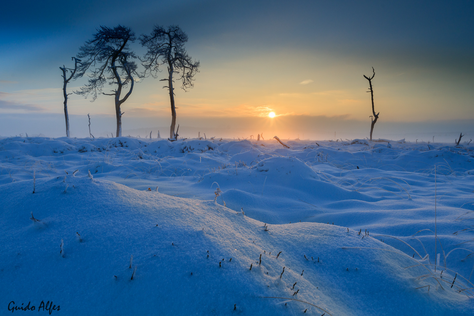 Sonnenaufgang im Venn