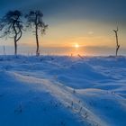 Sonnenaufgang im Venn