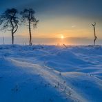 Sonnenaufgang im Venn