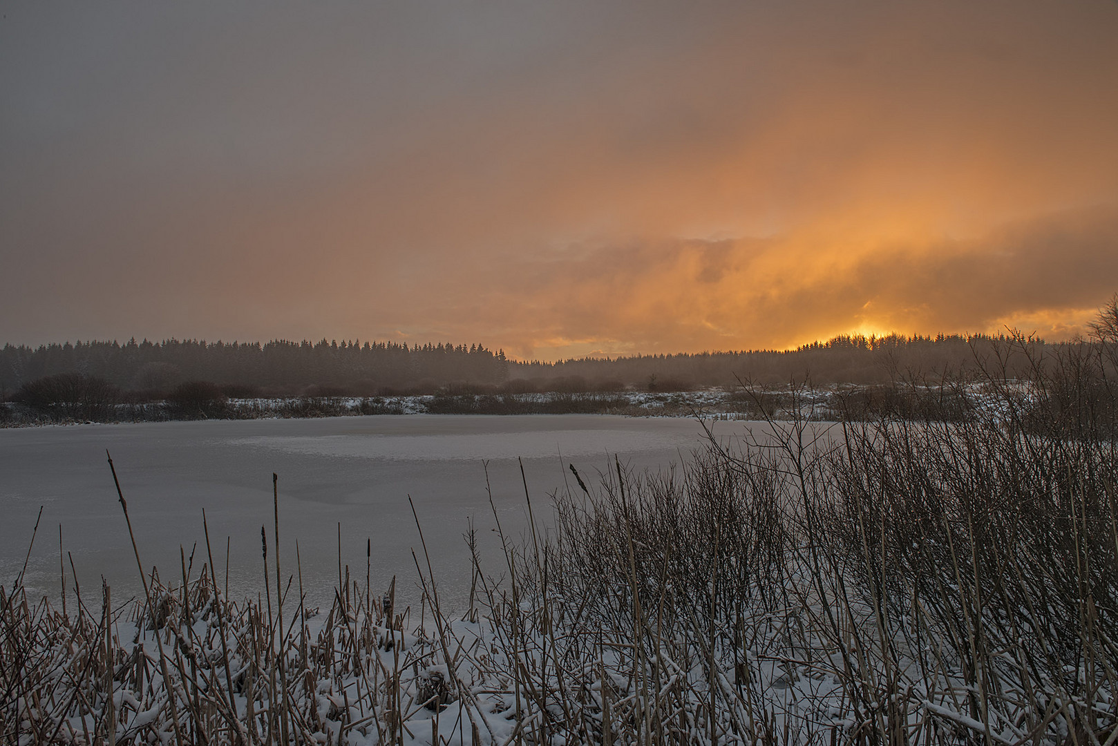 Sonnenaufgang im Venn