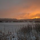 Sonnenaufgang im Venn