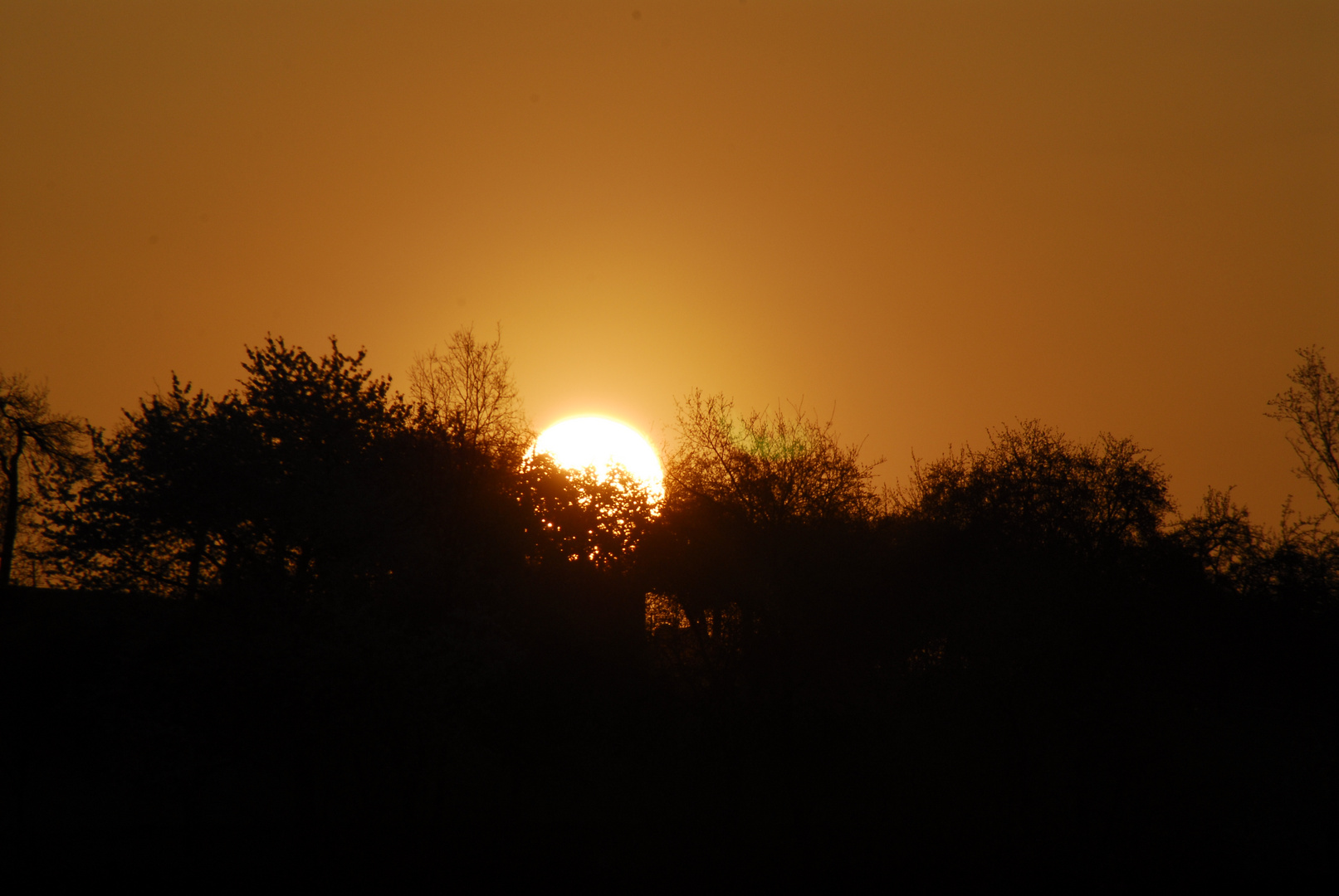 Sonnenaufgang im Vorspessart