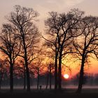 Sonnenaufgang im Vorster Feld bei Wachtendonk