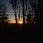 Sonnenaufgang im Wald