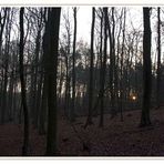 Sonnenaufgang im Wald reload