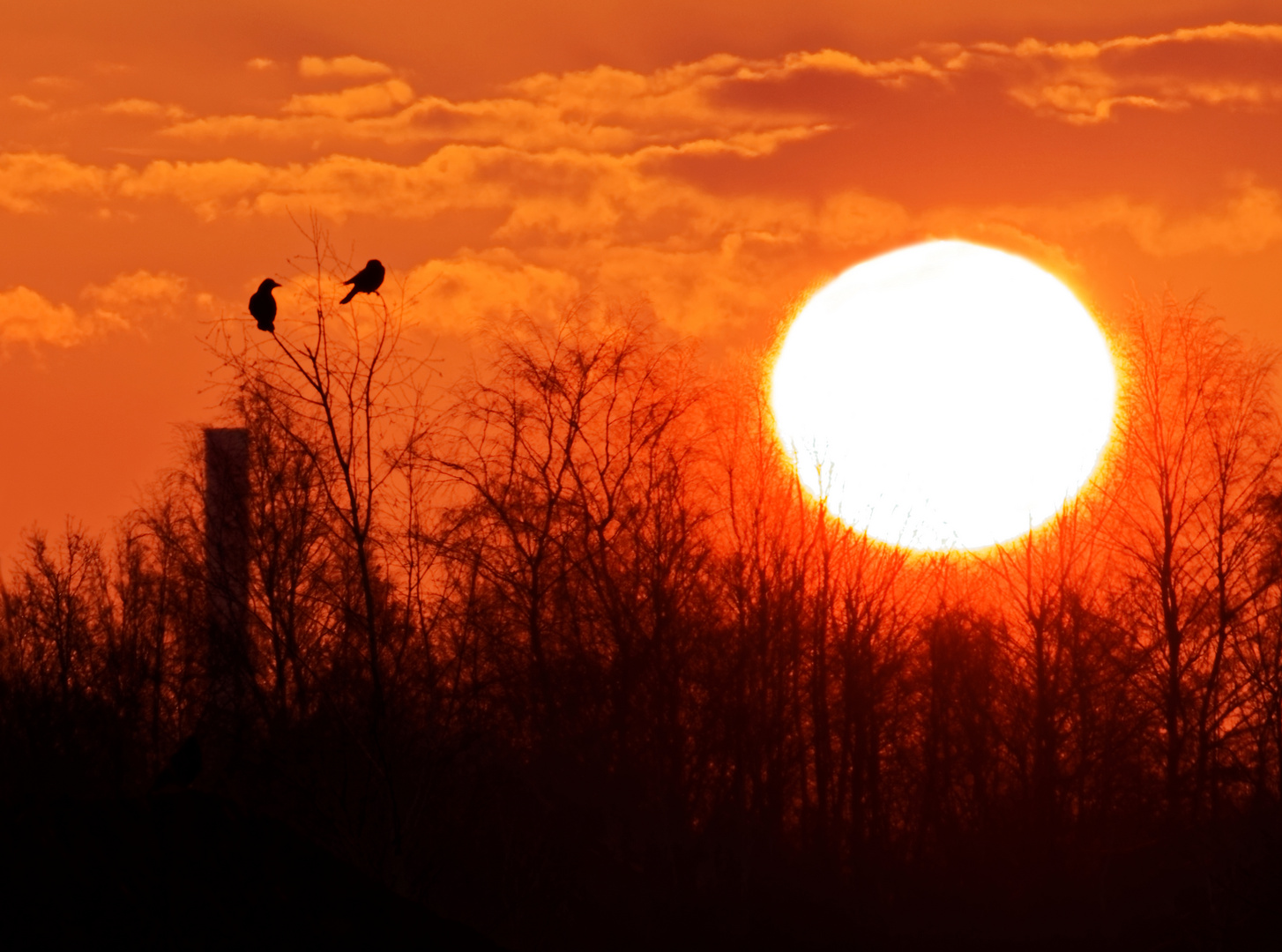 Sonnenaufgang im Wassergarten Reden 1