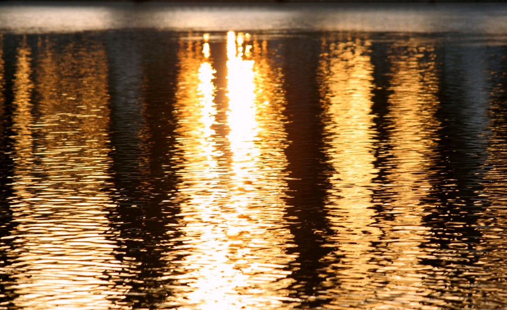 Sonnenaufgang im Wasserspiegel