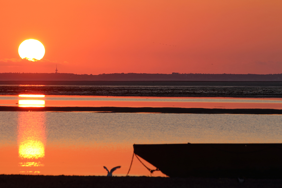 ~ Sonnenaufgang im Watt ~