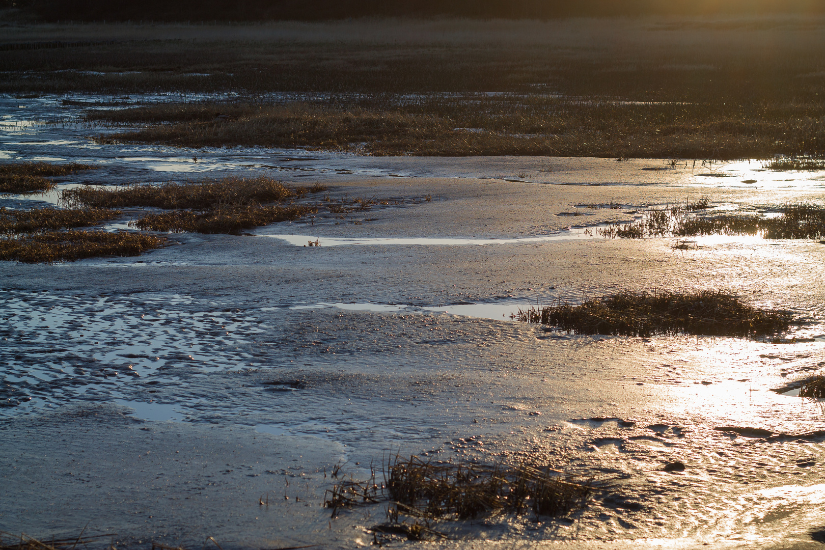 Sonnenaufgang im Watt