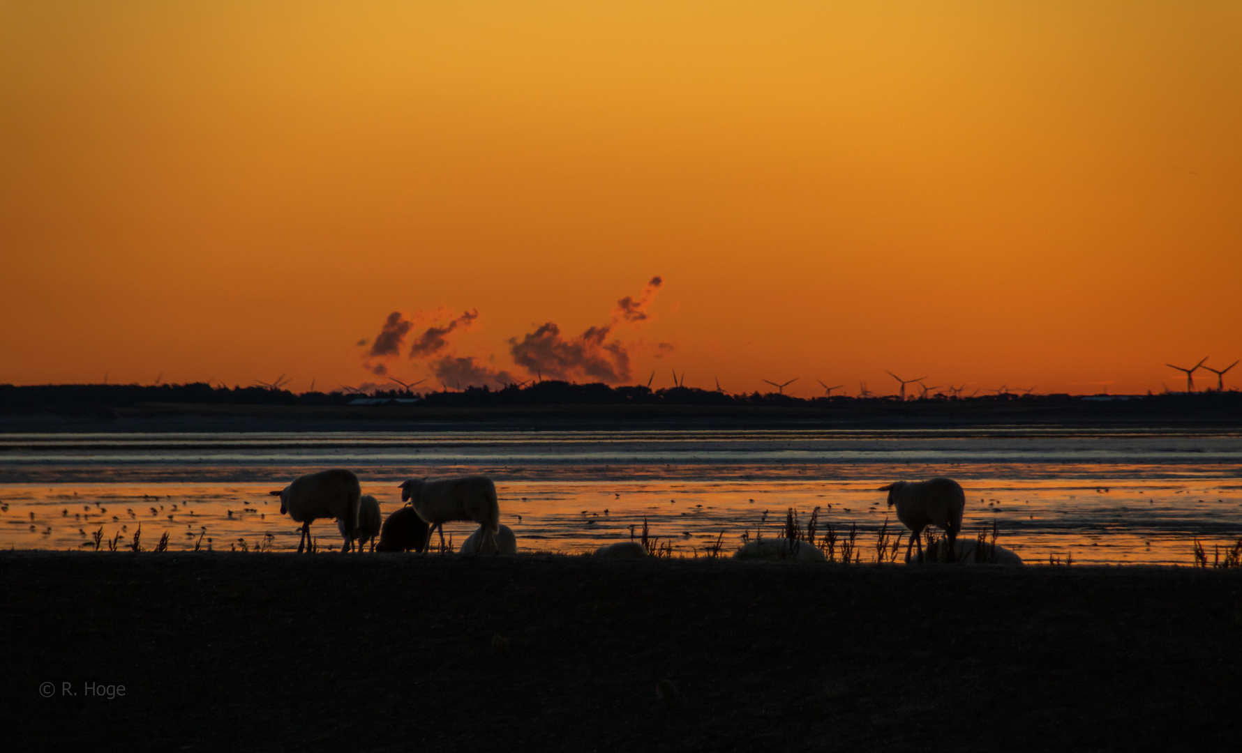 Sonnenaufgang im Watt