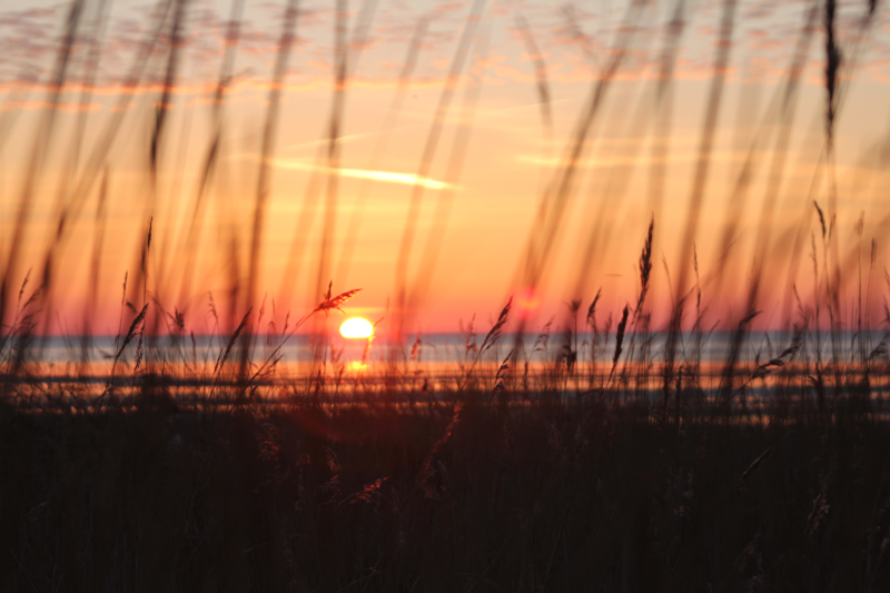 Sonnenaufgang im Wattenmeer