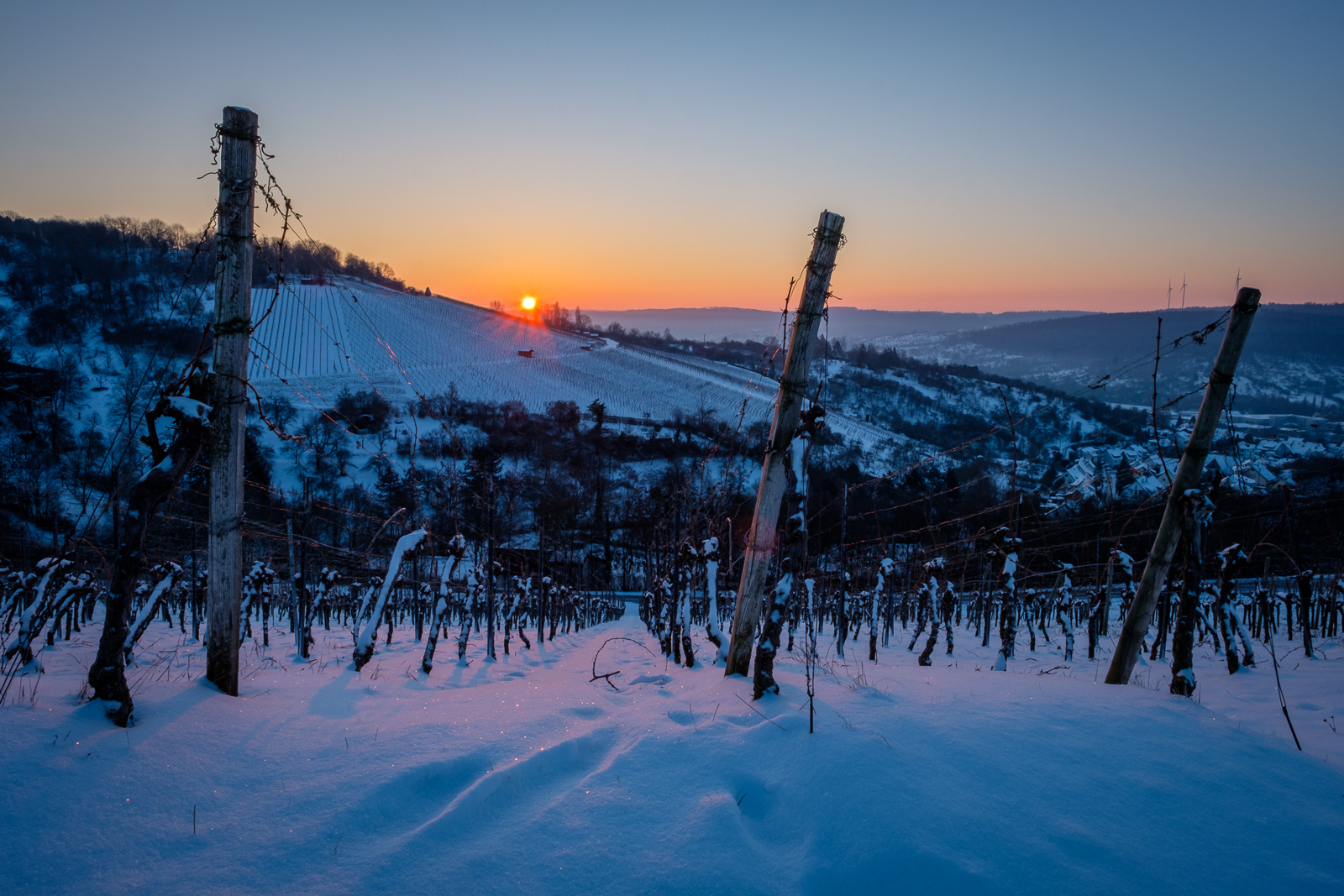 Sonnenaufgang im Weinberg im Winter