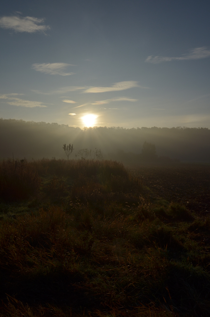 Sonnenaufgang im Weinviertel