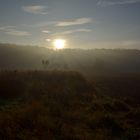 Sonnenaufgang im Weinviertel