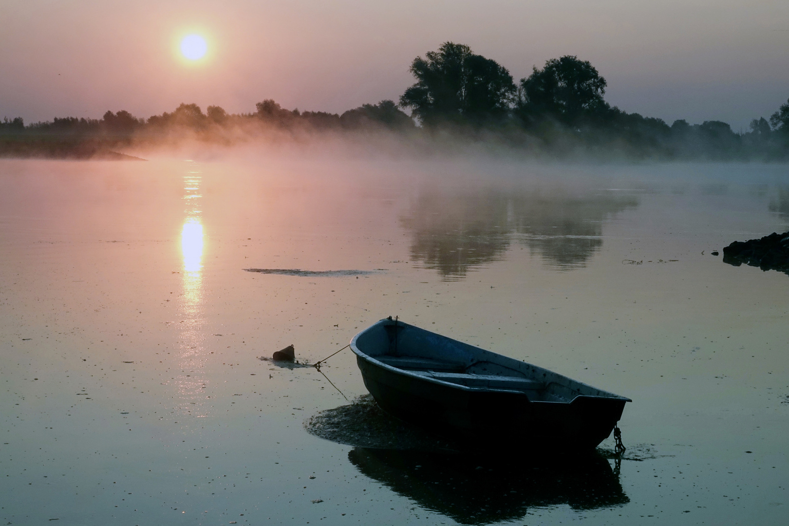 Sonnenaufgang im Wendland an der Elbe