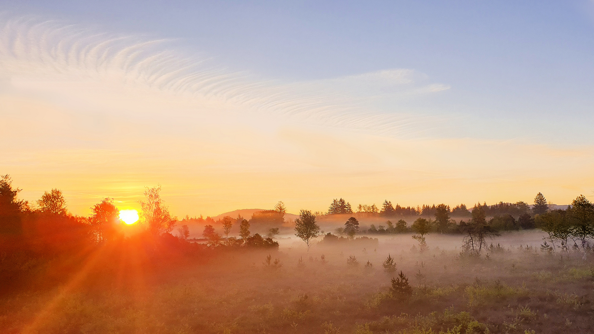 Sonnenaufgang im Wenger Moor