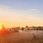 Sonnenaufgang im Wenger Moor