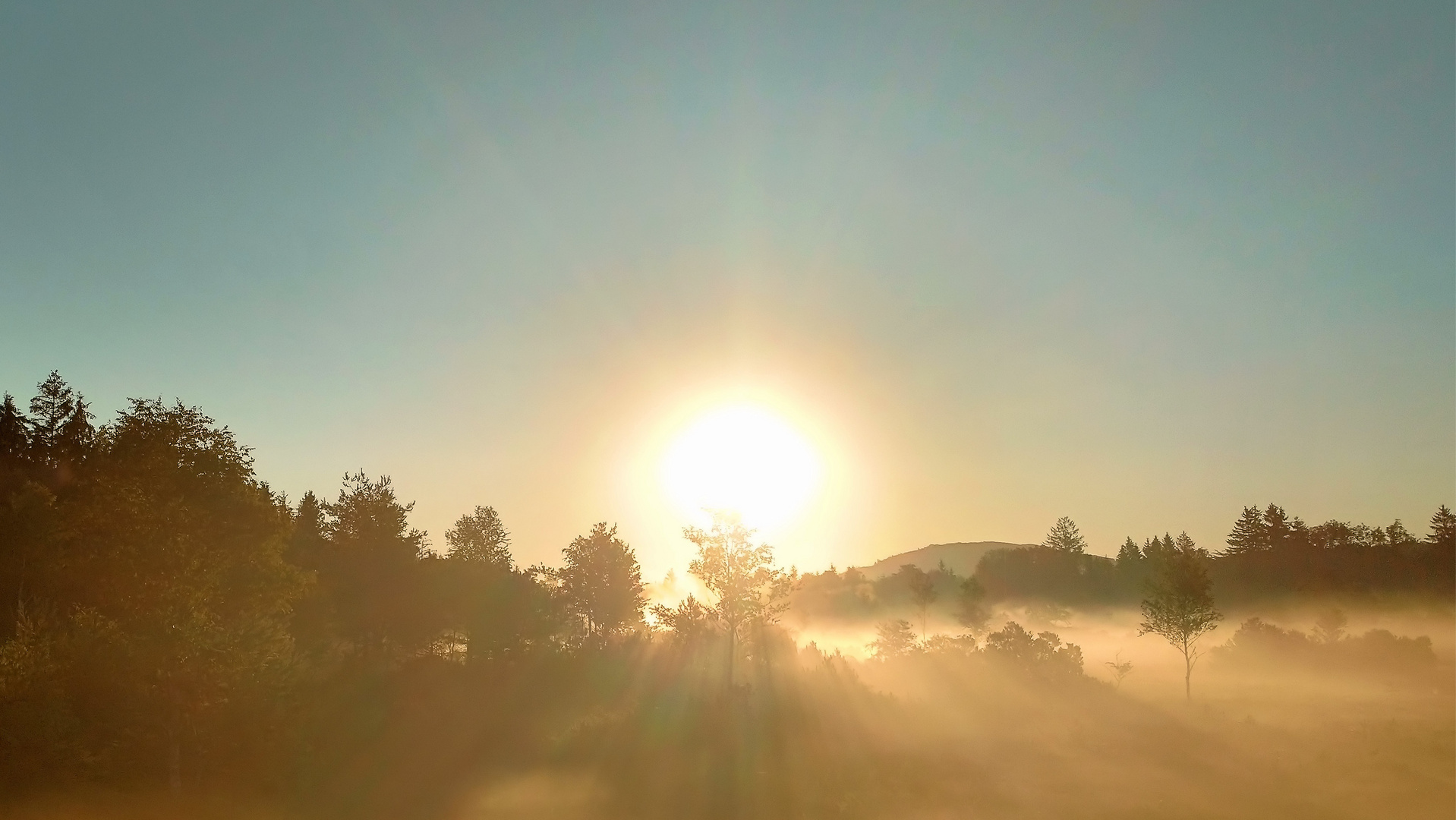 Sonnenaufgang im Wenger Moor