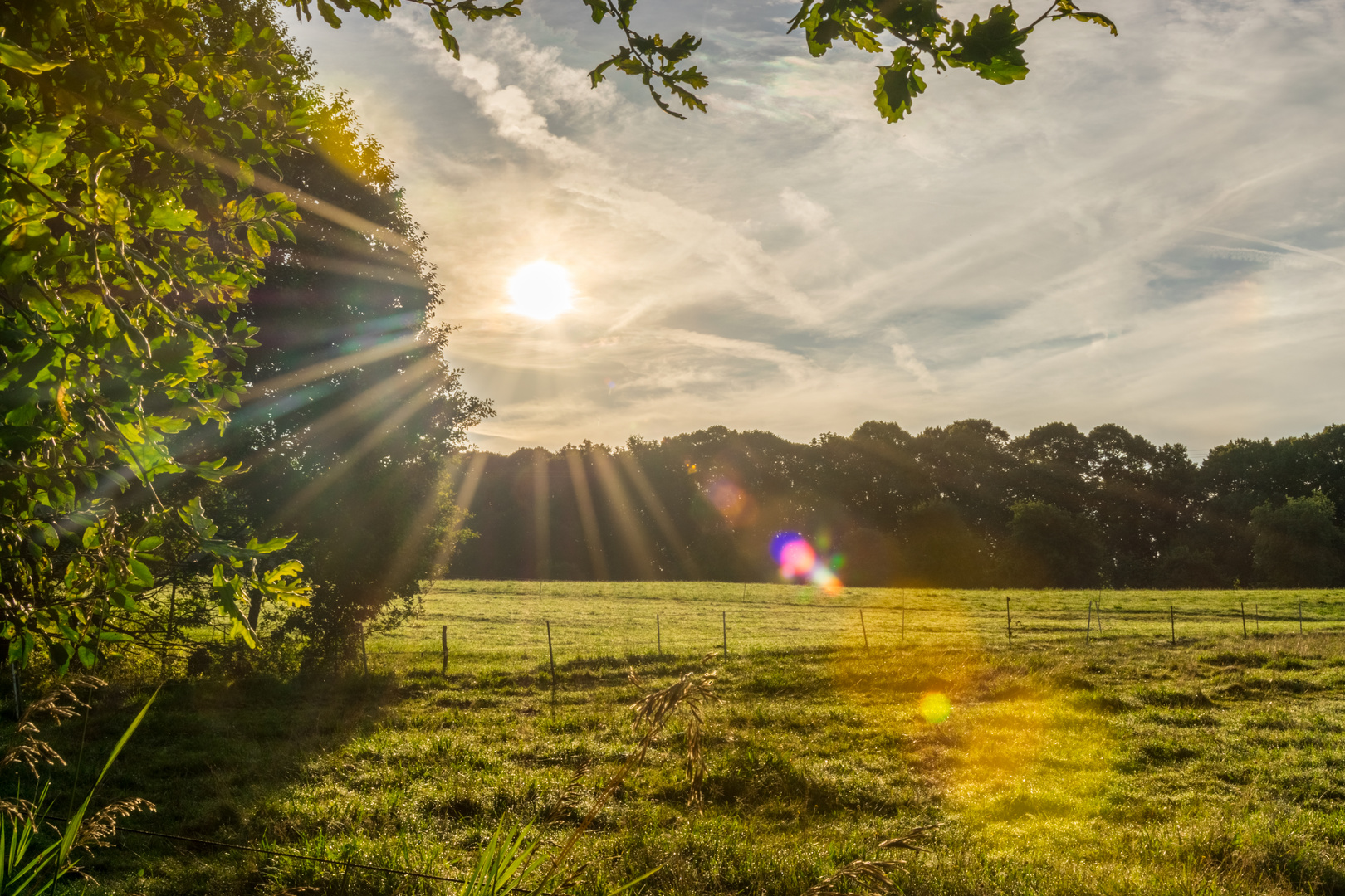 Sonnenaufgang im Westerwald