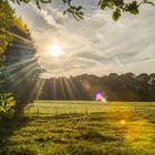 Sonnenaufgang im Westerwald