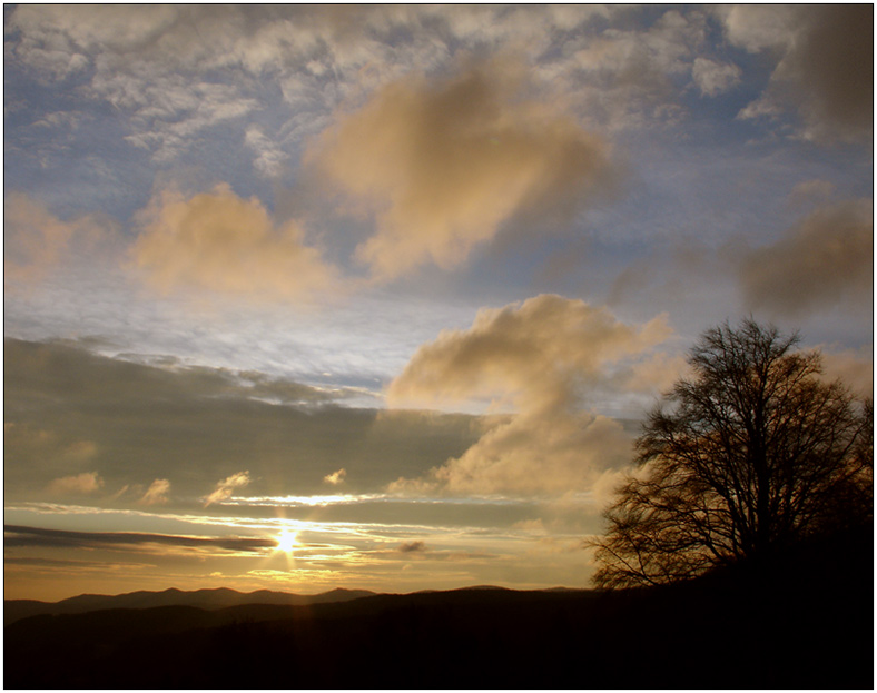 Sonnenaufgang im Wienerwald