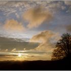 Sonnenaufgang im Wienerwald