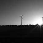 Sonnenaufgang im Windpark