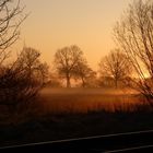 Sonnenaufgang im Winkel