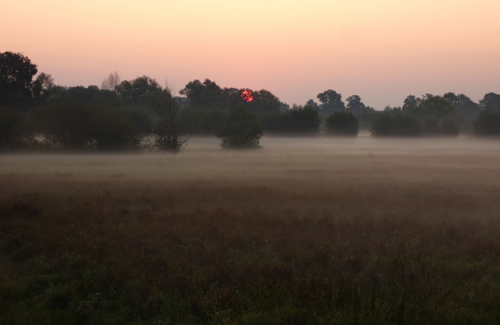 Sonnenaufgang im Winkel bei Lippborg