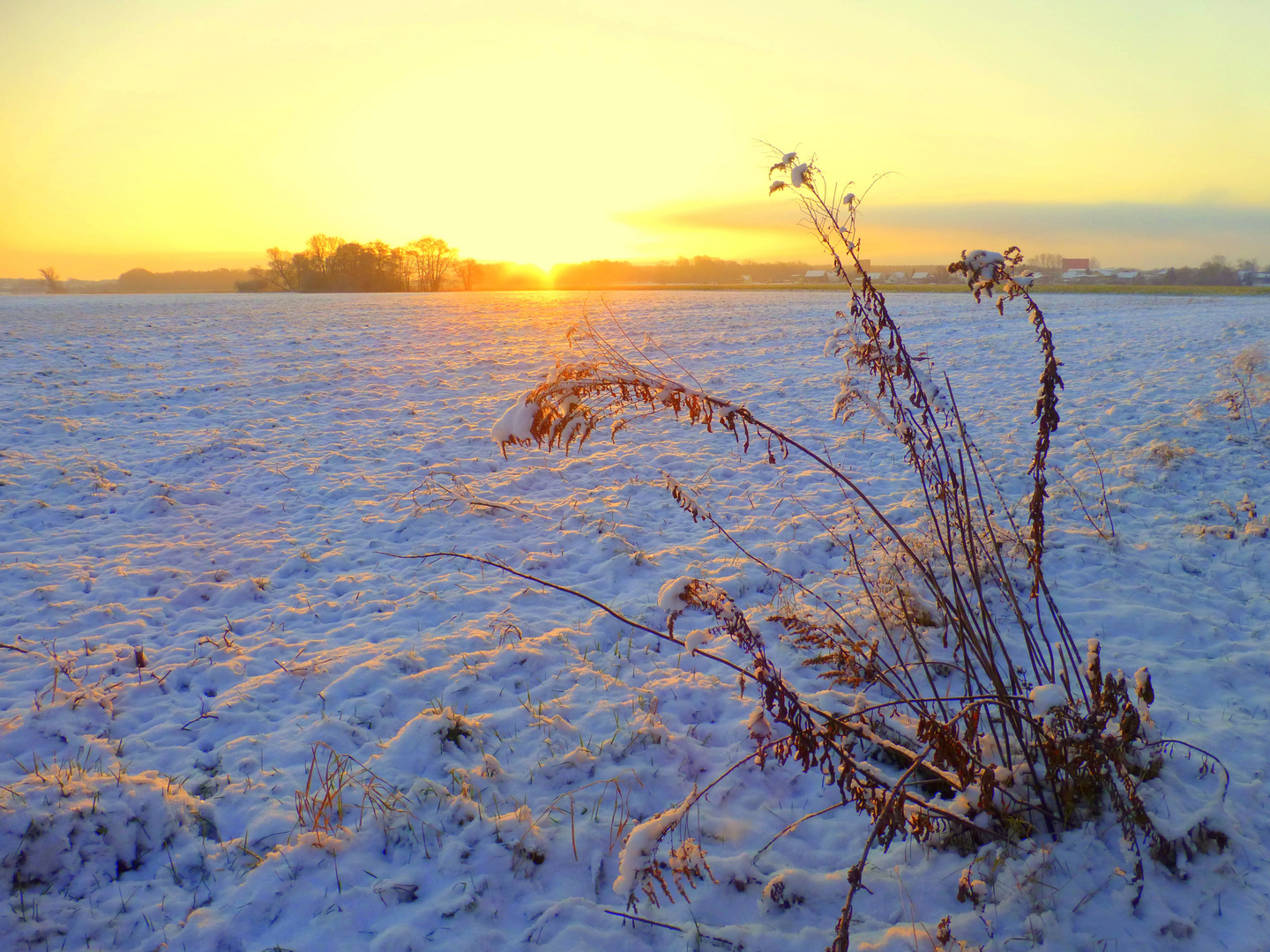 Sonnenaufgang im Winter