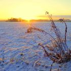 Sonnenaufgang im Winter