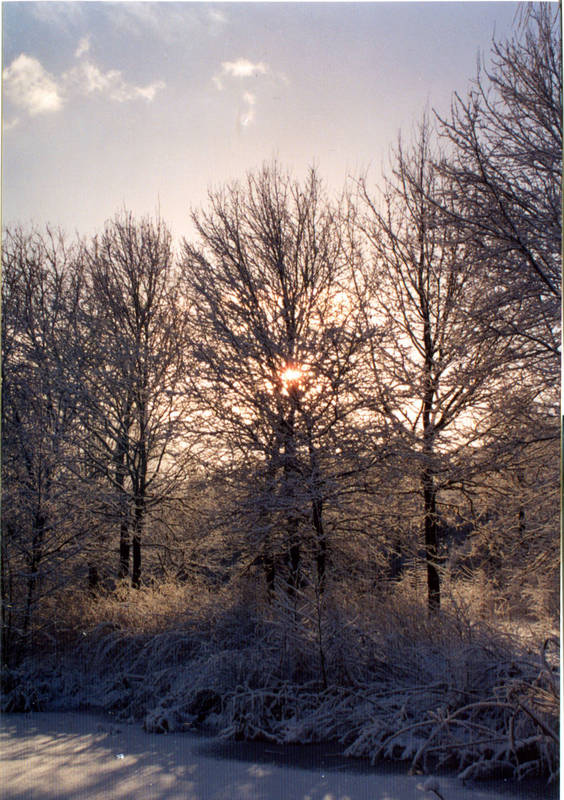 Sonnenaufgang im Winter